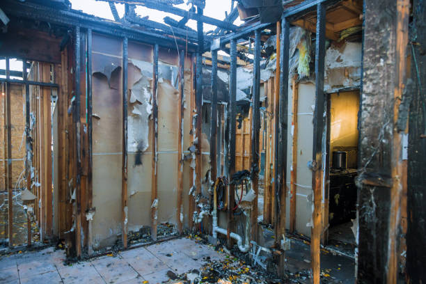 Professional Smoke Damage Removal technician working in Princeton, NJ
